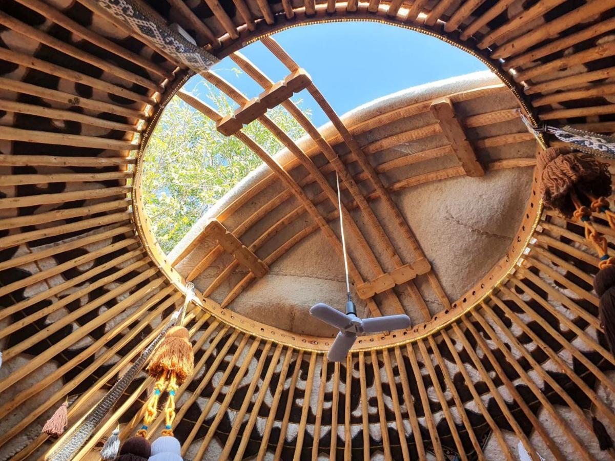 Agat Yurt Camp Bed and Breakfast Kaji-Say Εξωτερικό φωτογραφία