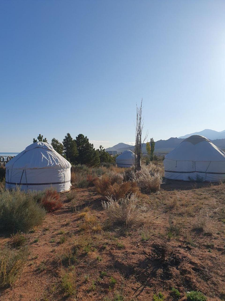Agat Yurt Camp Bed and Breakfast Kaji-Say Εξωτερικό φωτογραφία